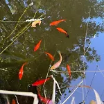 Domaine Des 3 Arbres - Nature Et Tranquillite Ferienhaus