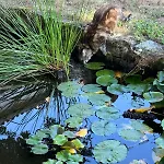 Domaine Des 3 Arbres - Nature Et Tranquillite Ferienhaus Vallet