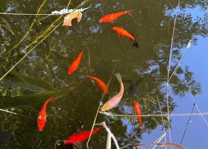 Domaine Des 3 Arbres - Nature Et Tranquillite Feriehus