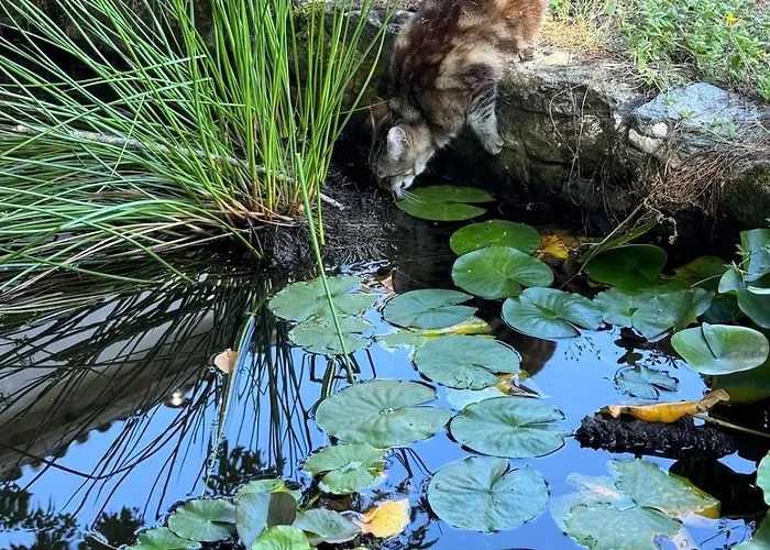 Domaine Des 3 Arbres - Nature Et Tranquillite Feriehus Vallet